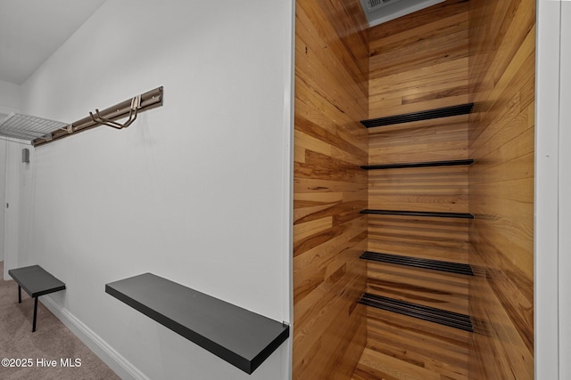 2142 Raccoon Rd, Willard, NC 28478 - sauna / steam room with carpet floors and baseboards