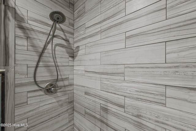 2142 Raccoon Rd, Willard, NC 28478 - bathroom view of tiled shower