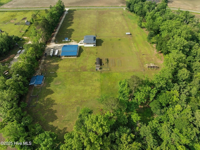 2142 Raccoon Rd, Willard, NC 28478 - aerial view of sparsely populated area