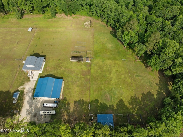2142 Raccoon Rd, Willard, NC 28478 - drone / aerial view