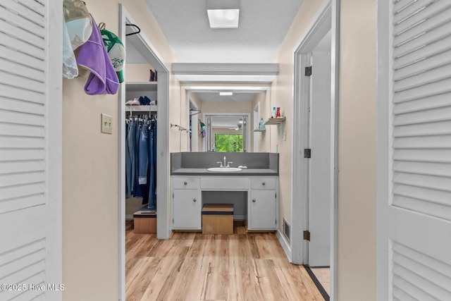 bathroom with wood finished floors, vanity, and a spacious closet
