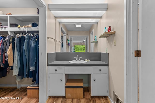 bathroom with wood finished floors, vanity, and a spacious closet