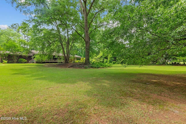 view of grassy yard
