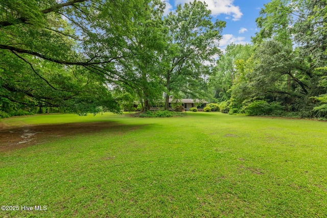 view of grassy yard with view of wooded area