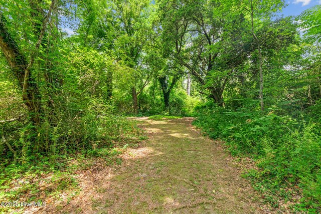 view of local wilderness