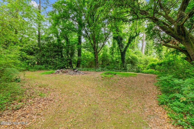 view of yard featuring a wooded view
