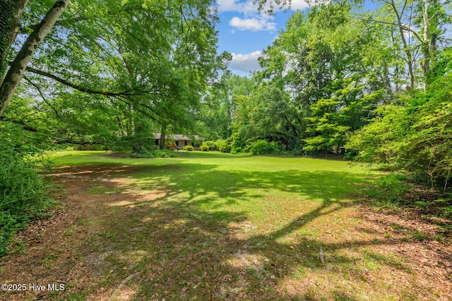 view of green lawn