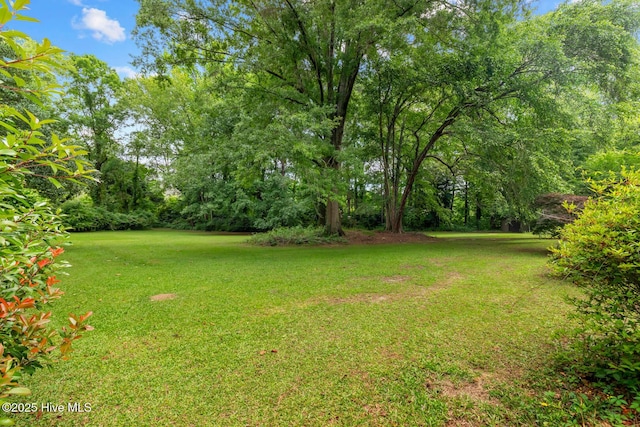 view of green lawn