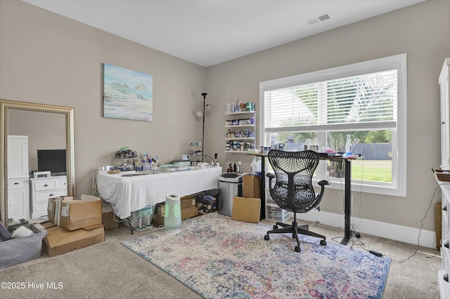carpeted home office featuring plenty of natural light and baseboards