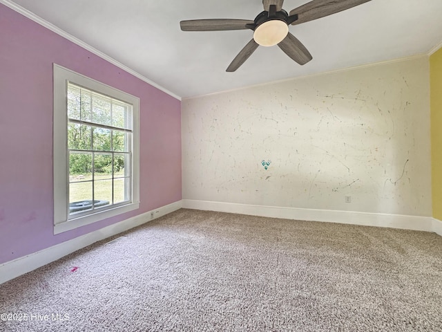 402 Warren St, Williamston, NC 27892 - empty room with carpet flooring, baseboards, crown molding, and ceiling fan