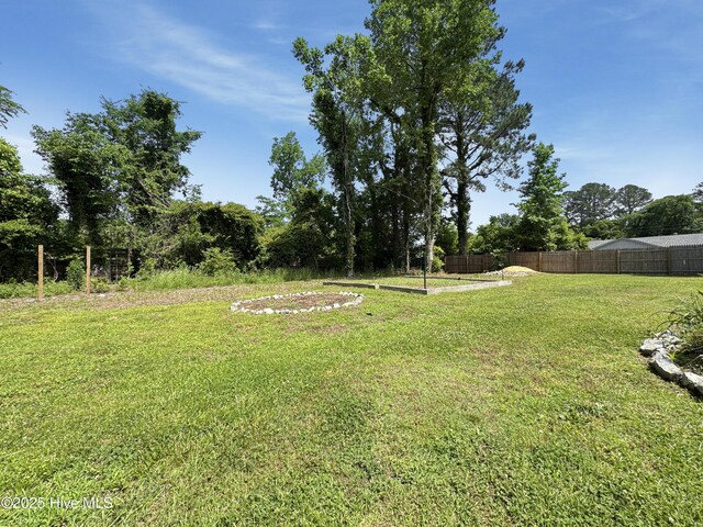 402 Warren St, Williamston, NC 27892 - view of yard