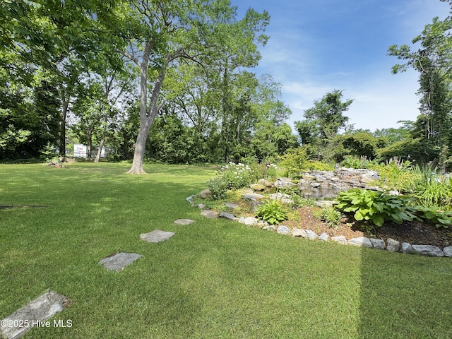 402 Warren St, Williamston, NC 27892 - view of grassy yard