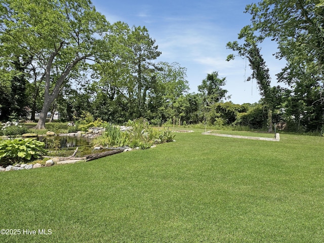 402 Warren St, Williamston, NC 27892 - view of green lawn