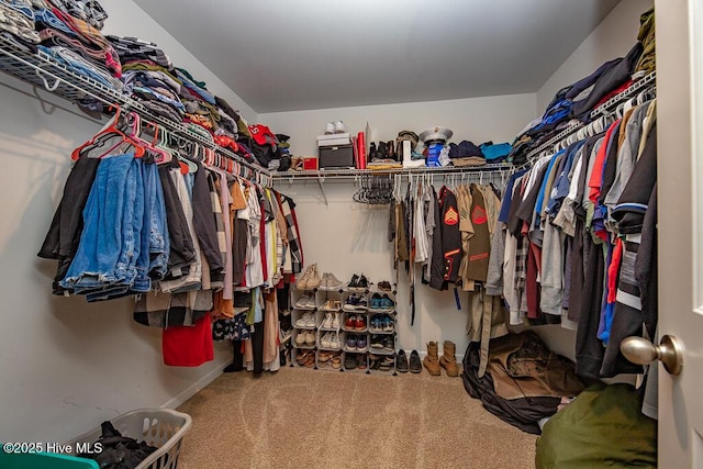 308 Isabelle St Lot # 986, New Bern, NC 28560 - spacious closet with carpet floors