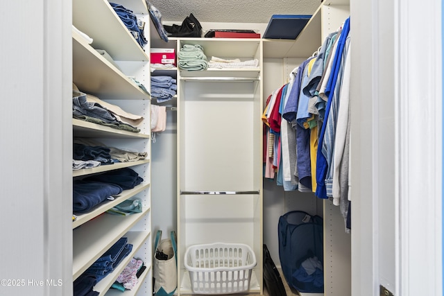 view of walk in closet