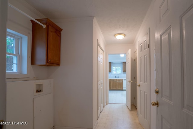 clothes washing area with cabinet space, washer hookup, and light flooring