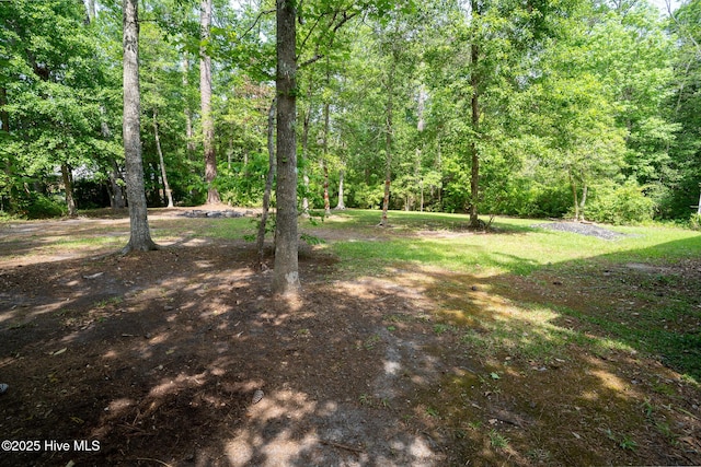 view of yard with a view of trees