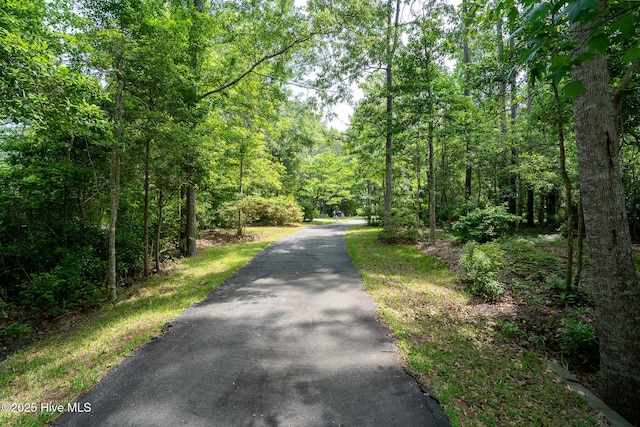 view of street with a forest view