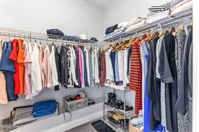 spacious closet with carpet flooring