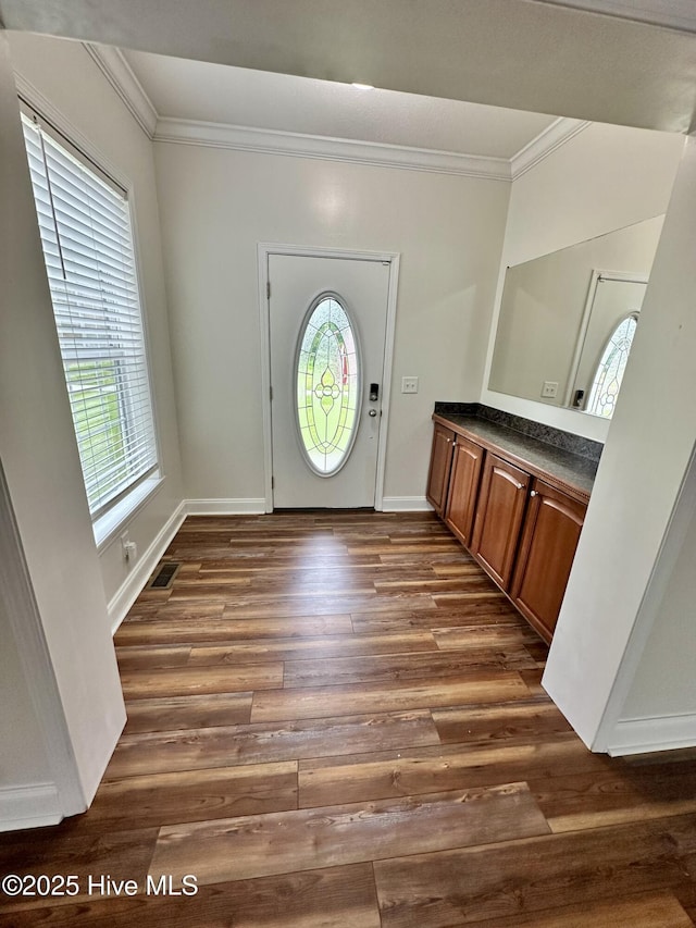 146 N Ravenwood Ln, Belhaven, NC 27810 - entryway with ornamental molding, plenty of natural light, dark wood-type flooring, and baseboards