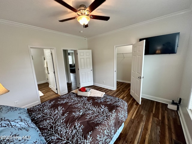 146 N Ravenwood Ln, Belhaven, NC 27810 - bedroom featuring wood finished floors, ornamental molding, baseboards, a spacious closet, and ceiling fan