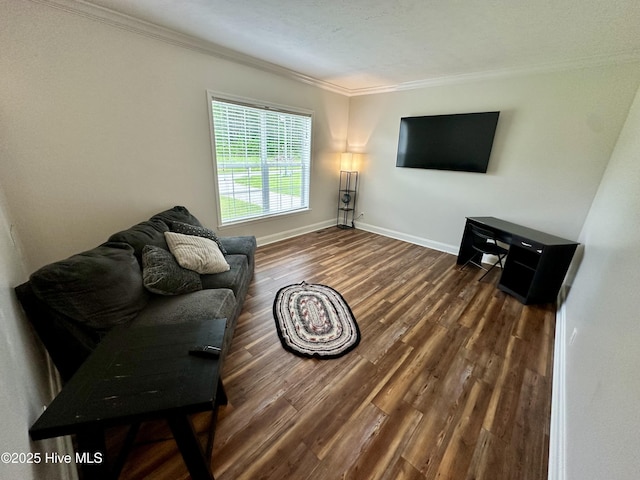 146 N Ravenwood Ln, Belhaven, NC 27810 - living area with crown molding, dark wood-style flooring, and baseboards