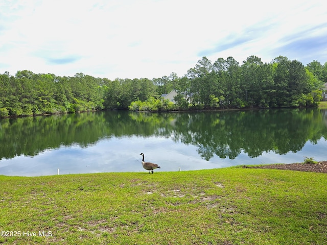 105 Argosy Dr, New Bern, NC 28560 - water view
