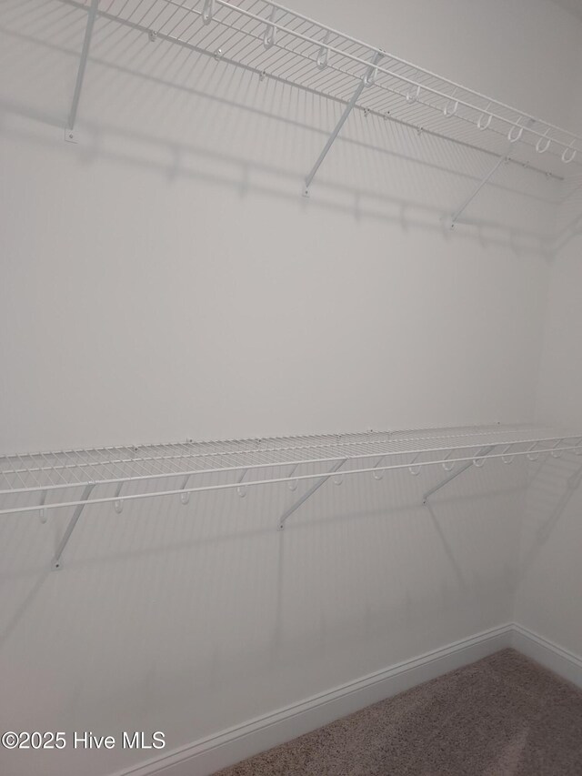 97 Hadnot Dr Unit B, Swansboro, NC 28584 - walk in closet featuring carpet flooring