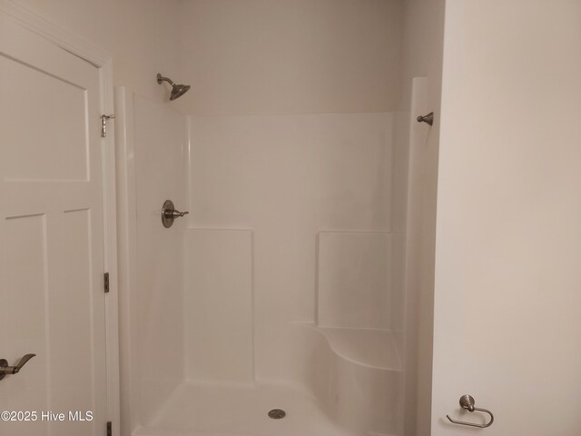 97 Hadnot Dr Unit B, Swansboro, NC 28584 - bathroom featuring a shower