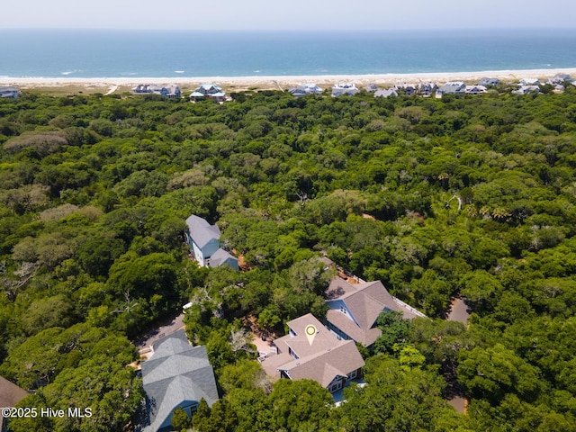 drone / aerial view of a forest and a nearby body of water