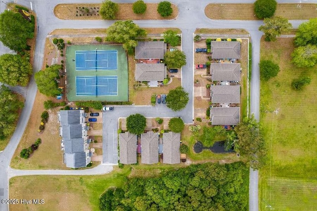 bird's eye view