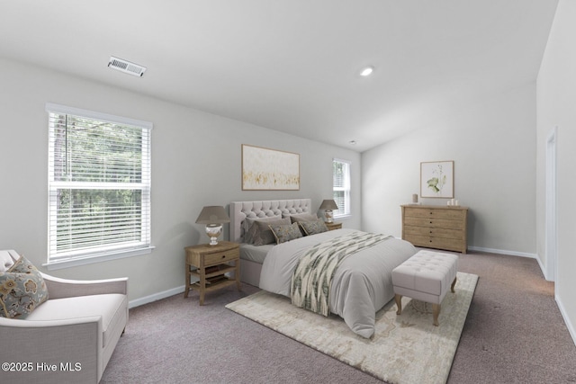 bedroom featuring carpet flooring, baseboards, and lofted ceiling