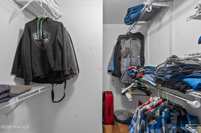 walk in closet featuring wood finished floors
