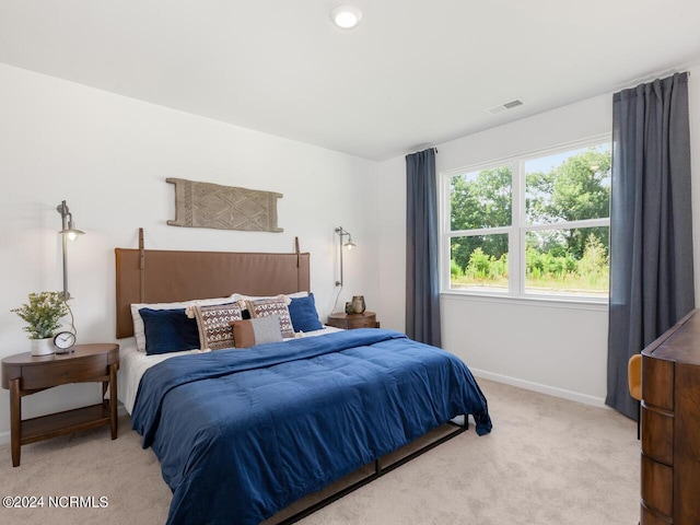 135 Legare St Lot 252, Wilmington, NC 28411 - bedroom featuring light carpet and baseboards