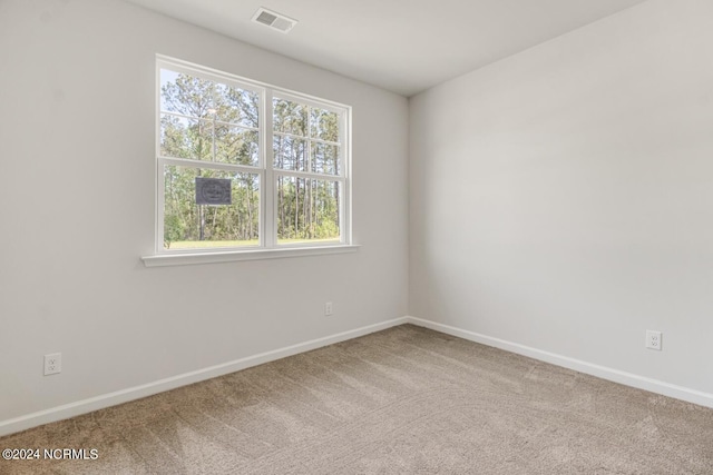 135 Legare St Lot 252, Wilmington, NC 28411 - unfurnished room featuring plenty of natural light and carpet floors