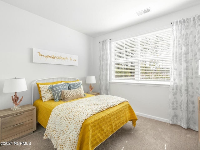 135 Legare St Lot 252, Wilmington, NC 28411 - bedroom featuring carpet floors