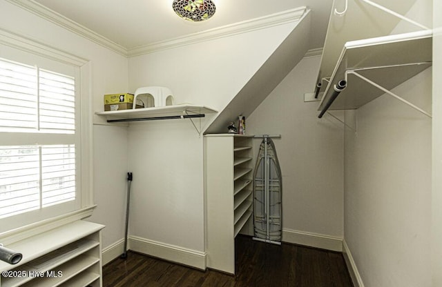 spacious closet featuring wood finished floors