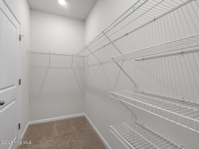walk in closet featuring carpet