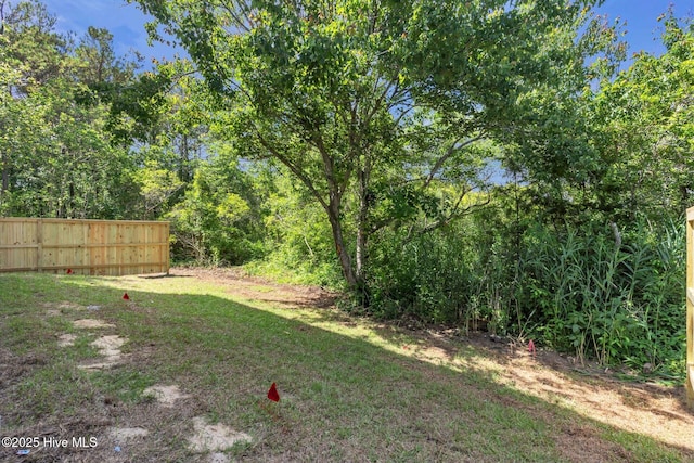 808 S 2nd St, Carolina Beach, NC 28428 - view of yard