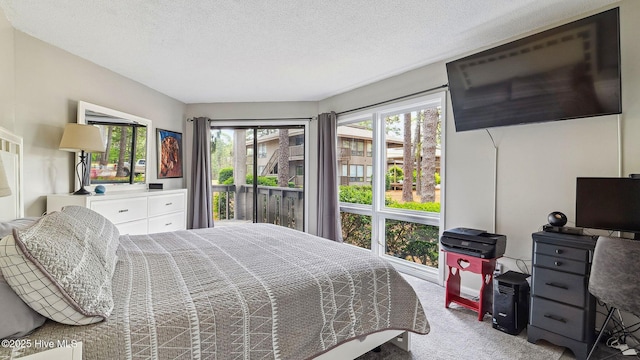227 Foxkroft Dr Unit 9, Foxfire Village, NC 27281 - carpeted bedroom featuring multiple windows and a textured ceiling