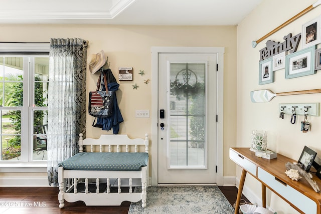 131 NE 33rd St, Oak Island, NC 28465 - mudroom with plenty of natural light, wood finished floors, and baseboards