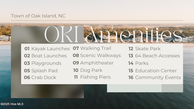 131 NE 33rd St, Oak Island, NC 28465 - view of miscellaneous property collateral