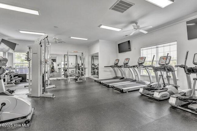 exercise room with ceiling fan and crown molding