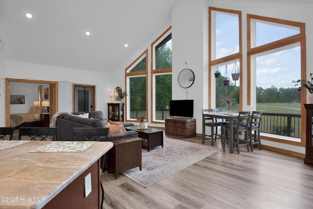 181 Kirkpatrick Ln, Red Springs, NC 28377 - living area featuring high vaulted ceiling, light wood finished floors, recessed lighting, and baseboards