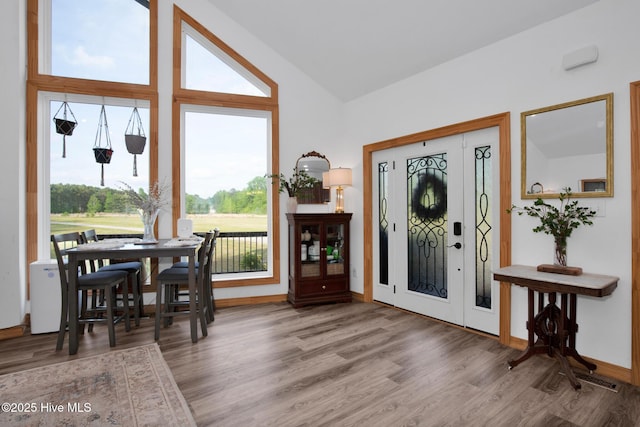 181 Kirkpatrick Ln, Red Springs, NC 28377 - entrance foyer with plenty of natural light, wood finished floors, baseboards, and high vaulted ceiling