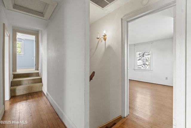 306 S Oakum St, Edenton, NC 27932 - corridor with attic access, wood-type flooring, and baseboards