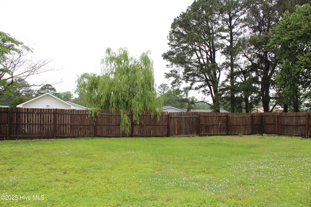 118 Turtle Shell Rd, Richlands, NC 28574 - view of yard