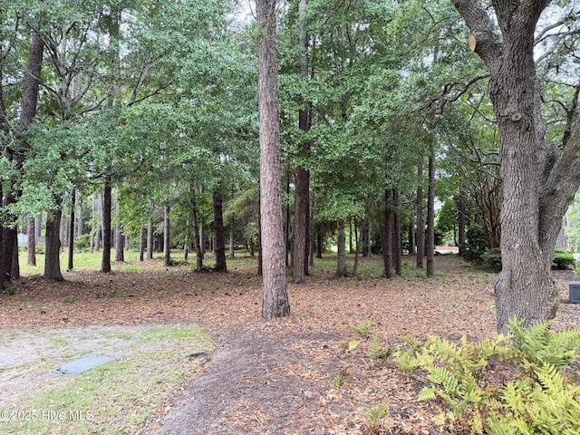 6197 Navigator Way Unit 1, Southport, NC 28461