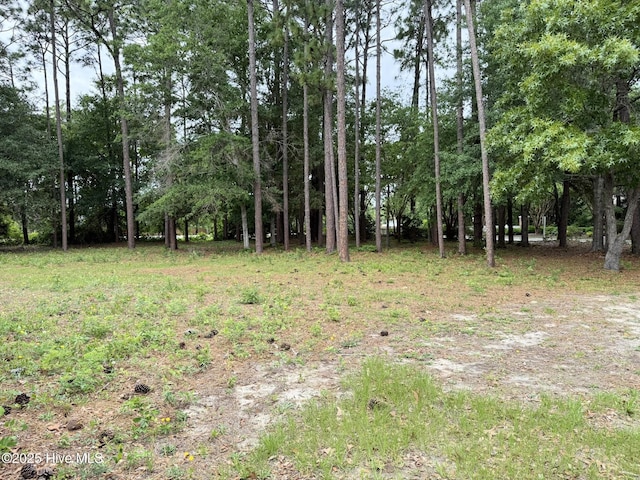 6197 Navigator Way Unit 1, Southport, NC 28461