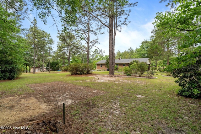 view of grassy yard